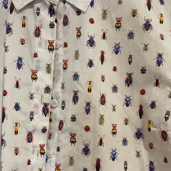 Frame bug button down - Picture 2 of 4